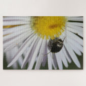 "Daisy & Bumblebee Puzzle - Kleine Harmonie der Na (Horizontal)