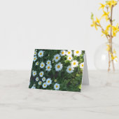 Daisy Bush Fotograph Karte (Gelbe Blume)