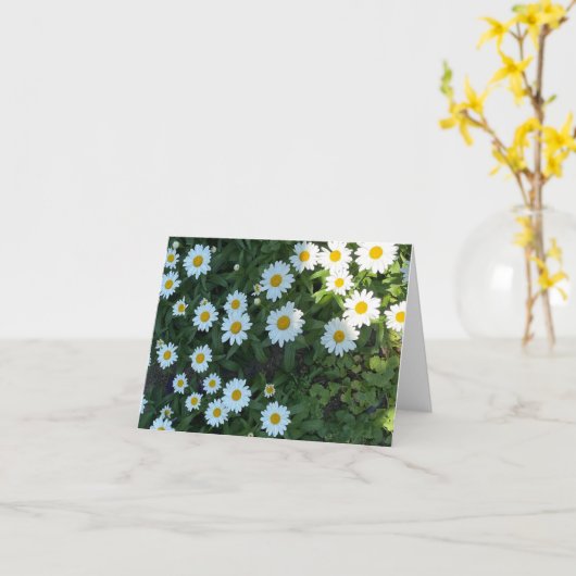 Daisy Bush Fotograph Karte (Gelbe Blume)