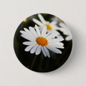 Daisy Button (Vorderseite)