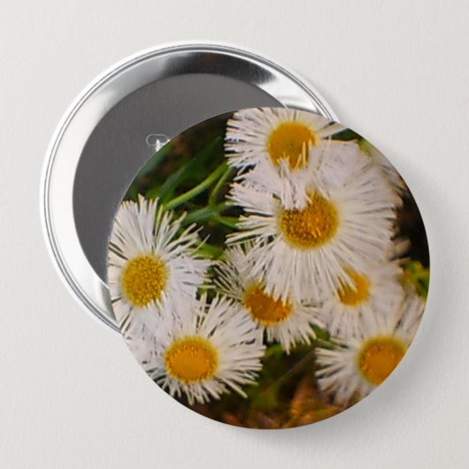 Daisy Button (Vorne & Hinten)