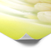 Daisy Canvas Print Poster (Ecke)