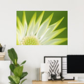 Daisy Canvas Print Poster (Heimbüro)