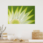 Daisy Canvas Print Poster (Küche)