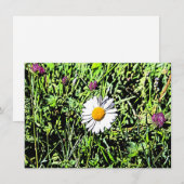 Daisy Card (Vorne/Hinten)