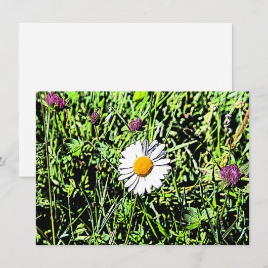 Daisy Card (Vorne/Hinten)