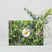 Daisy Card (Stehend Vorderseite)