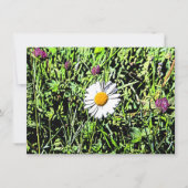 Daisy Card (Vorderseite)