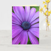 Daisy Card Wild Blume Benutzerdefinierte Grußkarte Karte (Gelbe Blume)