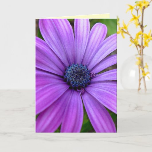 Daisy Card Wild Blume Benutzerdefinierte Grußkarte Karte (Gelbe Blume)