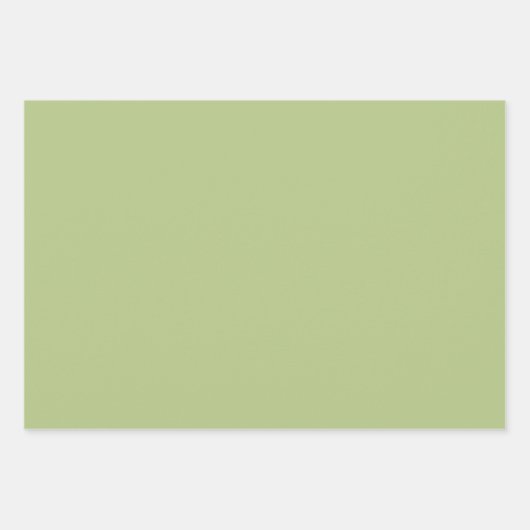 Daisy Check Sage Green Retro Modern Pattern Geschenkpapier Set (Vorderseite 2)