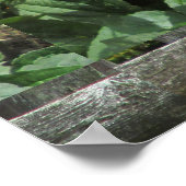 Daisy Cluster Weathered Fence Poster (Ecke)