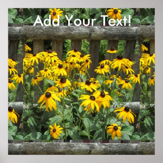 Daisy Cluster Weathered Fence Poster (Vorne)