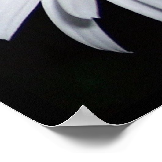 Daisy Collage Poster (Ecke)