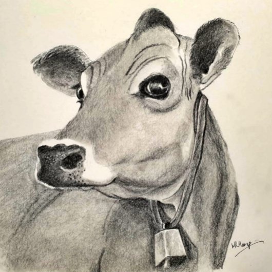 Daisy Cow Grüßkarte Karte