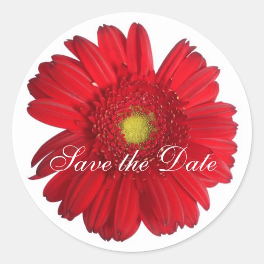 Daisy Custom Floral Sticker (Vorderseite)