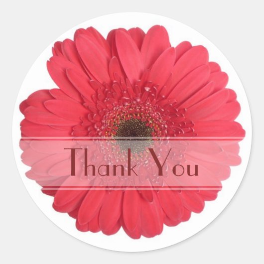 Daisy Custom Floral Sticker (Vorderseite)