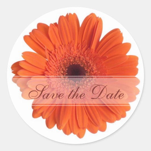 Daisy Custom Floral Sticker (Vorderseite)