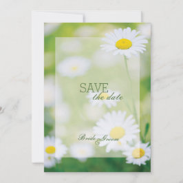 Daisy Daisies Blume Floral Summer Save the Date
