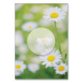 Daisy Daisies Blume Floral Summer Tischnummer (Rückseite)