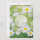 Daisy Daisies Blume Floral Summer Wedding Einladung (Rückseite)