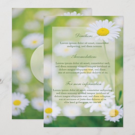 Daisy Daisies Blume Floral Summer Wedding Einladung (Vorne/Hinten)