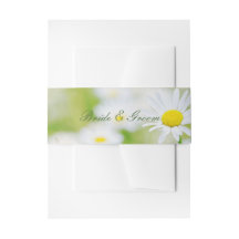 Daisy Daisies Blume Floral Summer Wedding