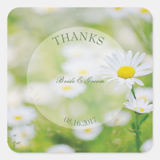 Daisy Daisies Blume Floral Summer Wedding Quadratischer Aufkleber (Vorderseite)