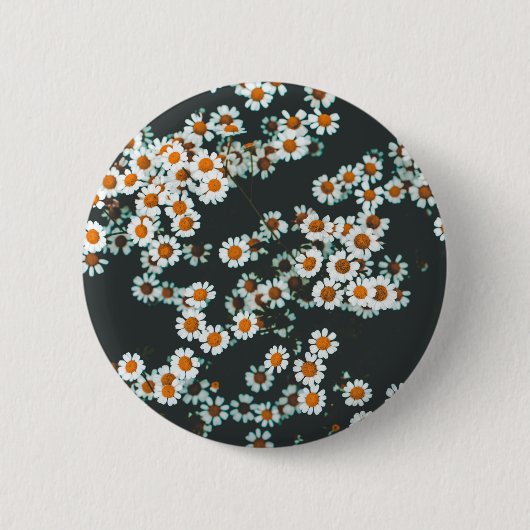 Daisy Daisies Floral Button (Vorderseite)