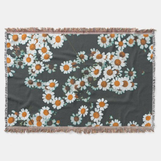 Daisy Daisies Floral Decke (Vorderseite)
