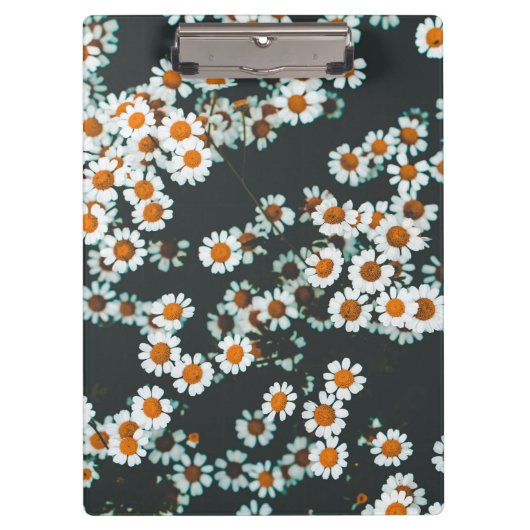 Daisy Daisies Floral Klemmbrett (Vorderseite)