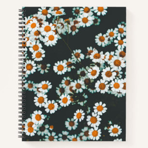 Daisy Daisies Floral Notizblock