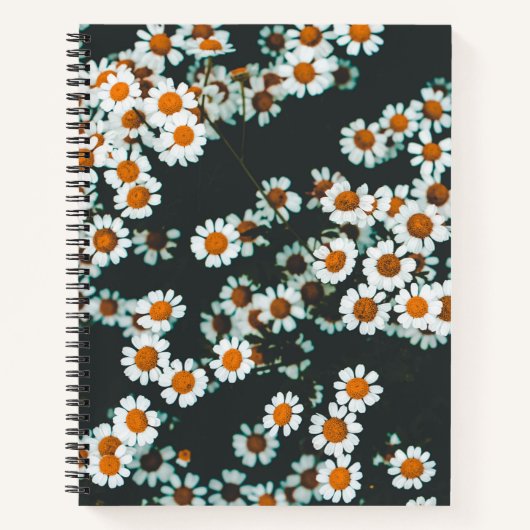 Daisy Daisies Floral Notizblock (Vorderseite)