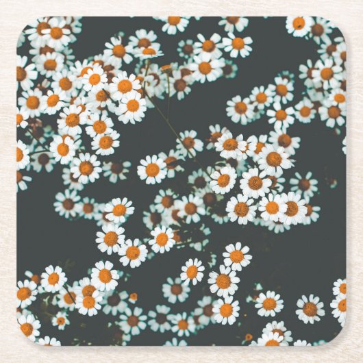 Daisy Daisies Floral Rechteckiger Pappuntersetzer (Vorderseite)