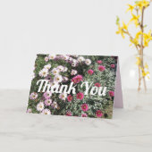 Daisy Daisies Pink Red Blume Vielen Dank Karte (Gelbe Blume)