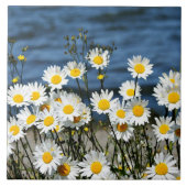 Daisy-Daisy Fliese (Vorderseite)
