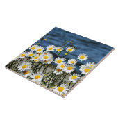 Daisy-Daisy Fliese (Seite)