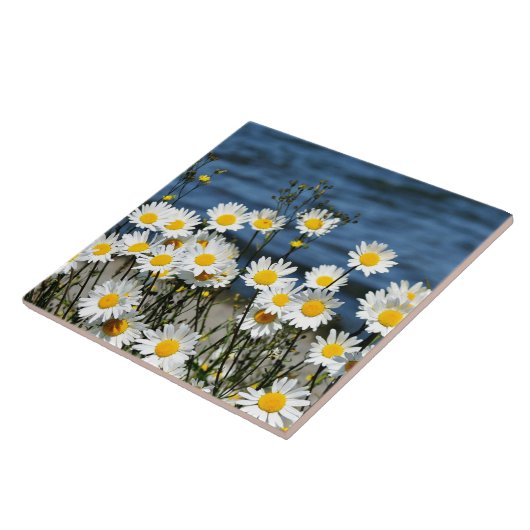 Daisy-Daisy Fliese (Seite)