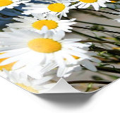 Daisy-Daisy Fotodruck (Ecke)