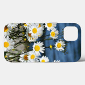 Daisy-Daisy, hübsche Wildblume gibt iPhone Case (Rückseite (Horizontal))