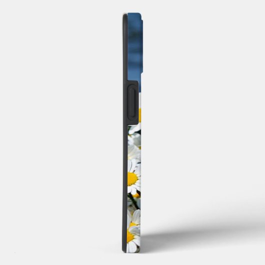 Daisy-Daisy, hübsche Wildblume gibt iPhone Case (Rückseite / Rechts)