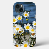 Daisy-Daisy, hübsche Wildblume gibt iPhone Case (Rückseite)