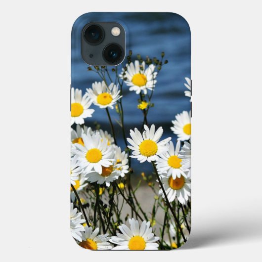 Daisy-Daisy, hübsche Wildblume gibt iPhone Case (Rückseite)