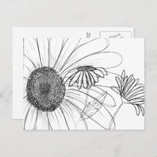 Daisy, Daisy Postkarte (Vorne/Hinten)