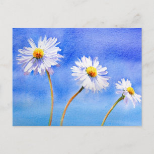 Daisy Daisy Postkarte
