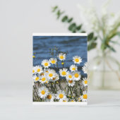 Daisy-Daisy Postkarte (Stehend Vorderseite)