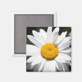 Daisy Darling Magnet (Vorderseite/Rückseite)