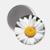 Daisy Darling Magnet (Vorderseite/Rückseite)