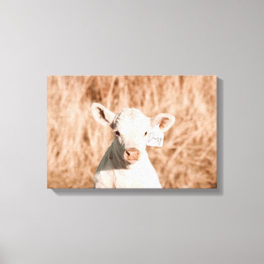 Daisy das Niedliche Weiße Kalb auf der goldenen Wi Leinwanddruck (Vorderseite)