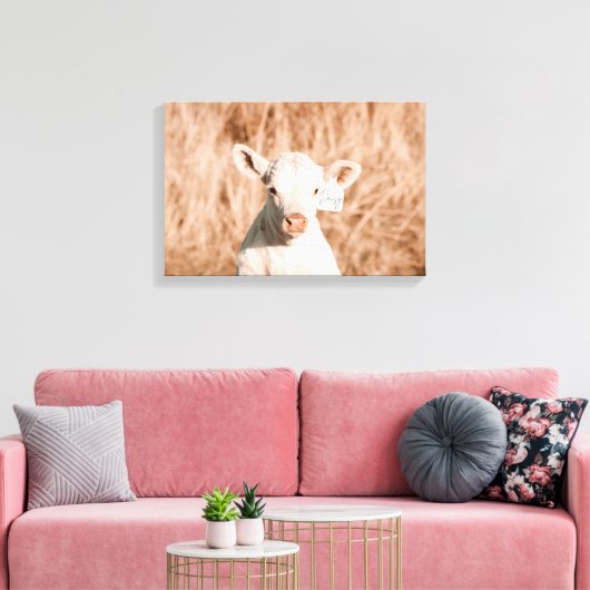 Daisy das Niedliche Weiße Kalb auf der goldenen Wi Leinwanddruck (Insitu (Wohnzimmer))